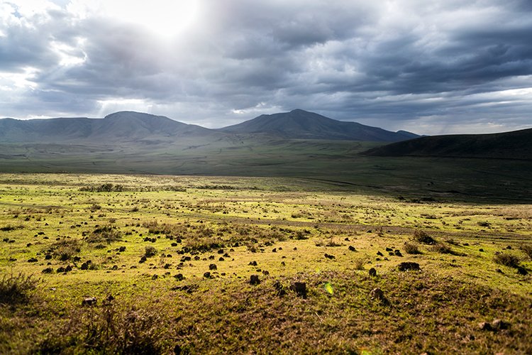 TZA ARU Ngorongoro 2016DEC25 007